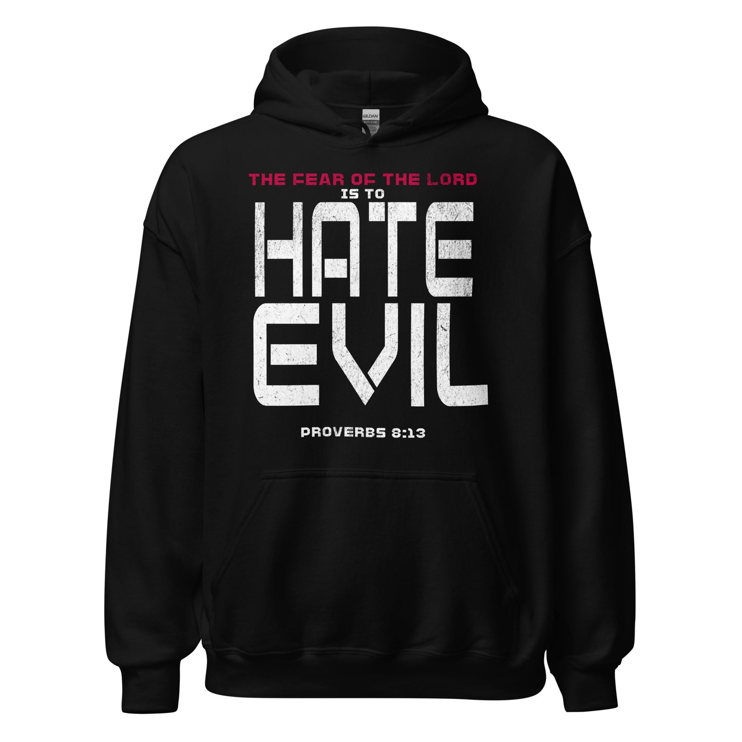 Fear The Lord Hate Evil Hoodie Christian Bible Verse T-Shirt