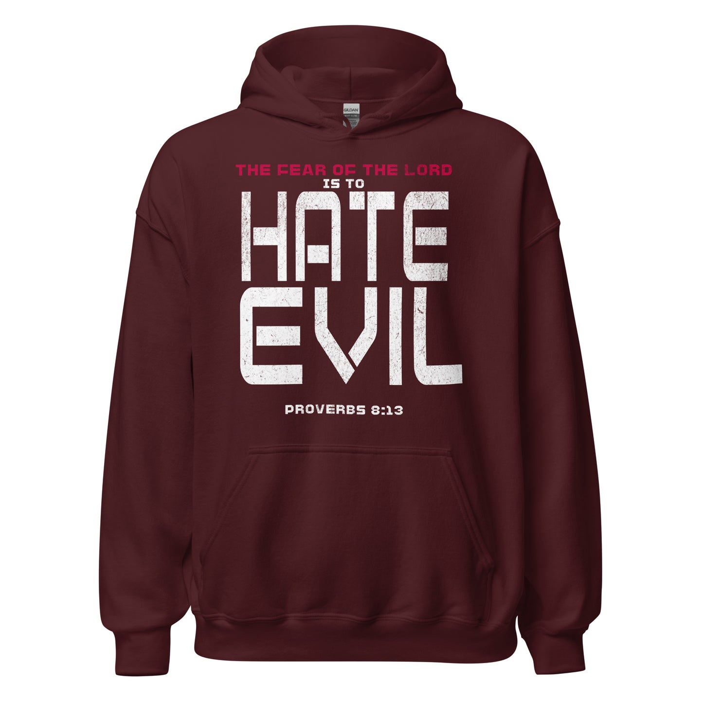 Fear The Lord Hate Evil Hoodie Christian Bible Verse T-Shirt