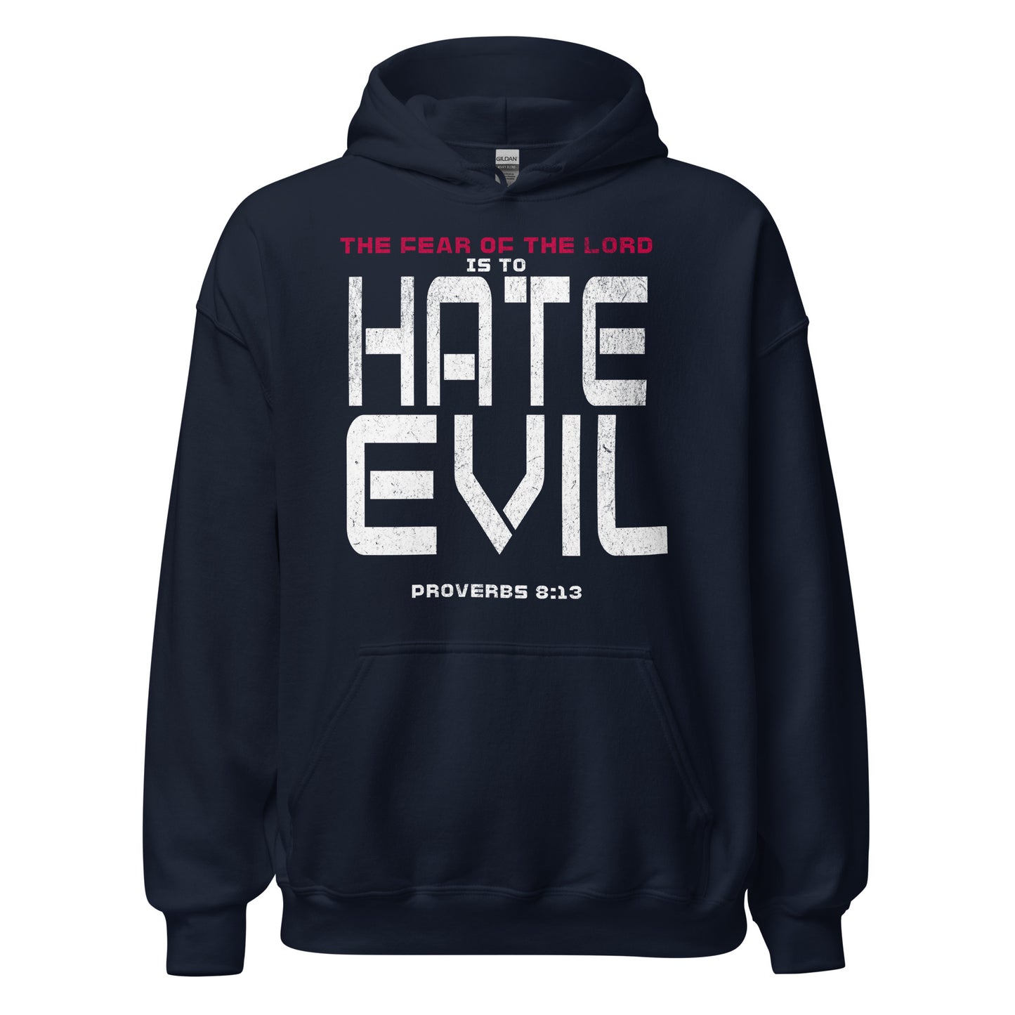 Fear The Lord Hate Evil Hoodie Christian Bible Verse T-Shirt