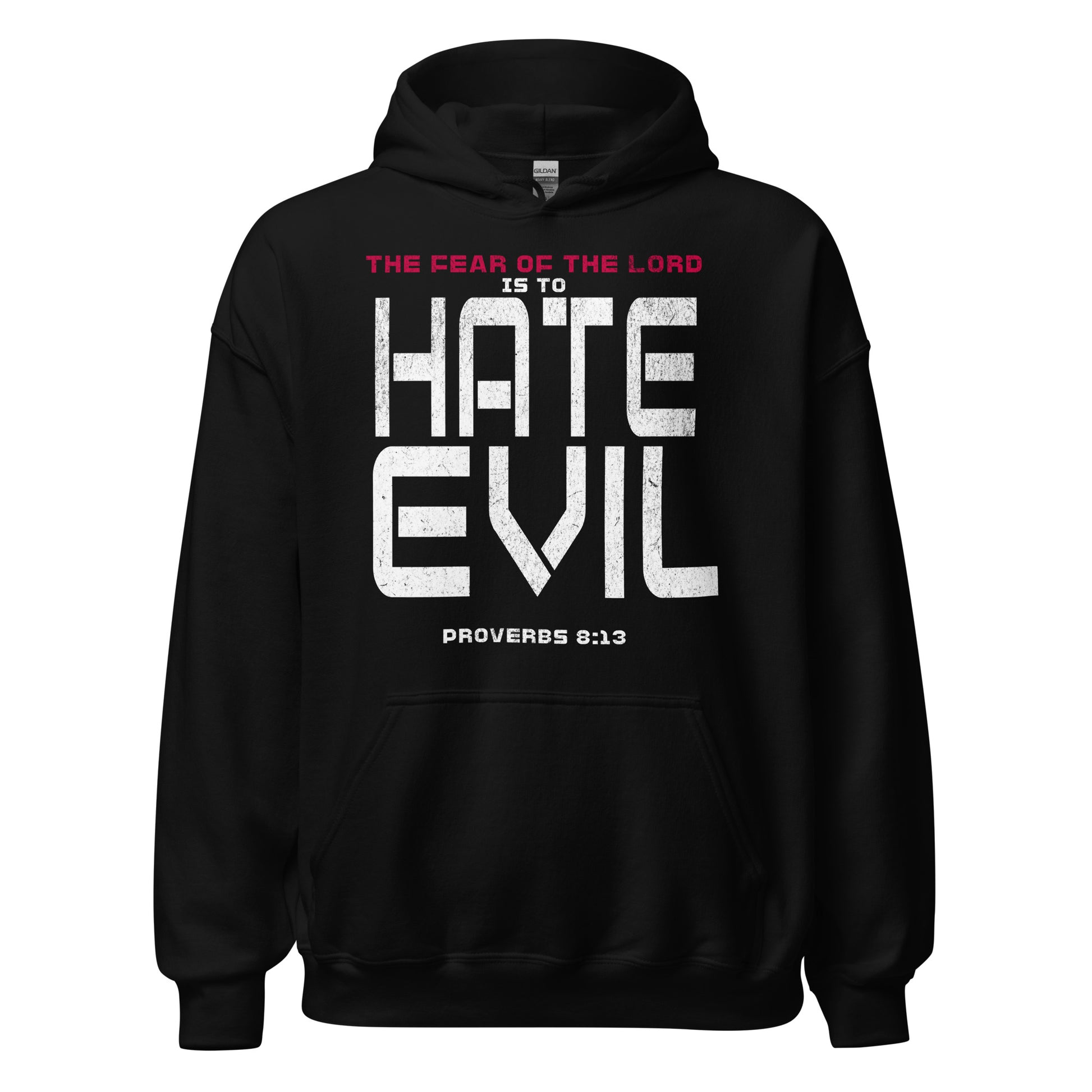 Fear The Lord Hate Evil Hoodie  Christian Bible Verse T-Shirt