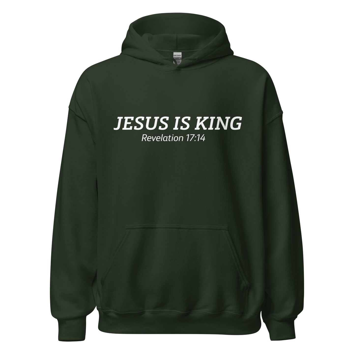  Jesus is King Christian Hoodie  Revelation 17:14