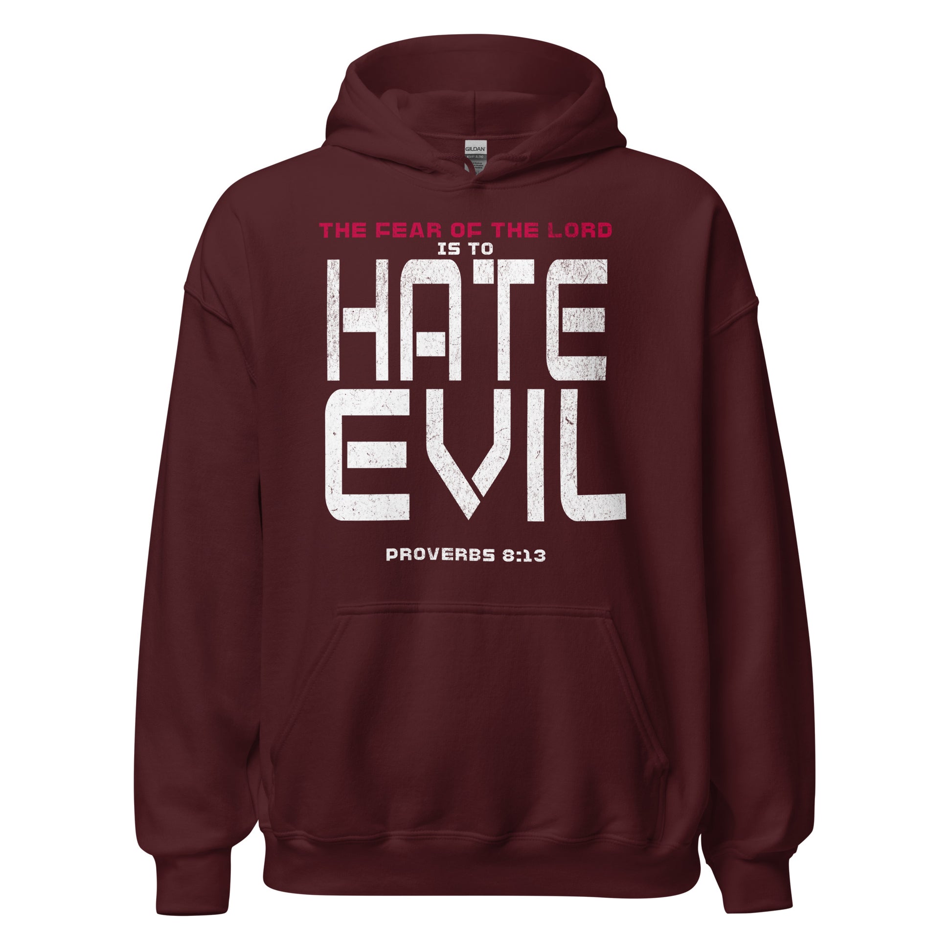 Fear The Lord Hate Evil Hoodie  Christian Bible Verse T-Shirt