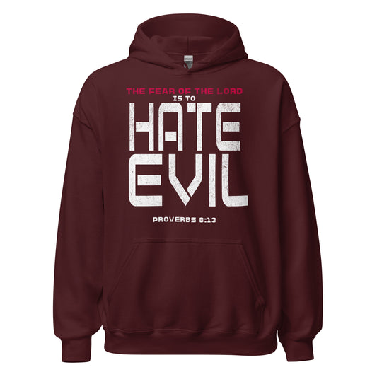 Fear The Lord Hate Evil Hoodie  Christian Bible Verse T-Shirt