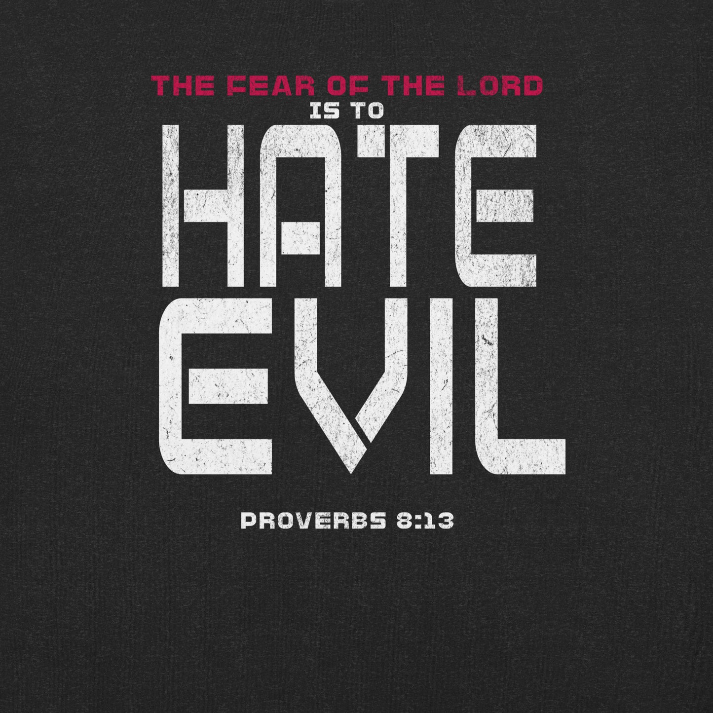 Fear The Lord HATE EVIL Shirt  Christian Bible Verse T-Shirt